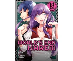 KNYGA Link World's End Harem Vol. 18 - After World