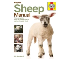 KNYGA Liz Shankland Sheep Manual
