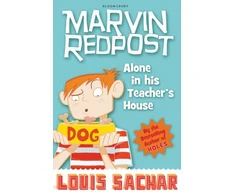 KNYGA Louis Sachar Alone in His Teacher's House