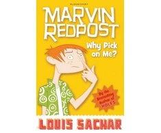 KNYGA Louis Sachar Why Pick on Me?