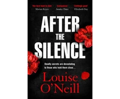 KNYGA Louise Oneill After the Silence