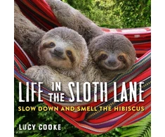 KNYGA Lucy Cooke Life in the Sloth Lane