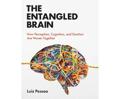 KNYGA Luiz Pessoa Entangled Brain