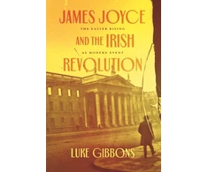 KNYGA Luke Gibbons James Joyce and the Irish Revolution