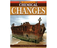 KNYGA Lynnette Brent Chemical Changes