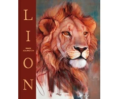 KNYGA M Adlington Lion