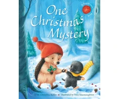 KNYGA M Christina Butler One Christmas Mystery