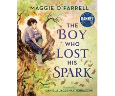 KNYGA Maggie Ofarrell Boy Who Lost His Spark