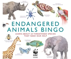 KNYGA Magma Publishing Endangered Animals Bingo