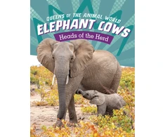 KNYGA Maivboon Sang Elephant Cows