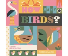 KNYGA Marcos Farina How Many Birds?