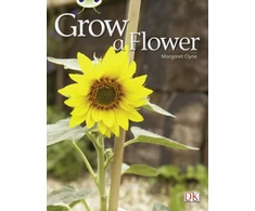 KNYGA Margaret Clyne Bug Club Independent Non Fiction Reception Raudona C Grow a Flower