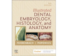 KNYGA Margaret J Fehrenbach Illustrated Dental Embryology, Histology, and Anatomy