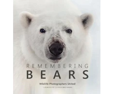 KNYGA Margot Raggett Remembering Bears