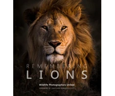 KNYGA Margot Raggett / Wildlife Photographers United Remembering Lions