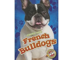 KNYGA Mari C Schuh French Bulldogs