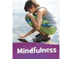 KNYGA Mari C Schuh Mindfulness