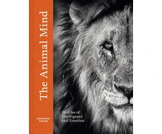 KNYGA Marianne Taylor Animal Mind