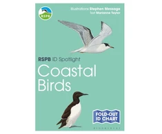 KNYGA Marianne Taylor RSPB ID Spotlight - Coastal Birds