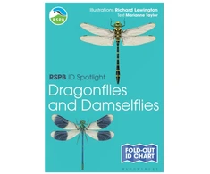 KNYGA Marianne Taylor RSPB ID Spotlight - Dragonflies and Damselflies