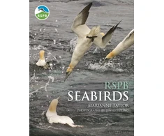 KNYGA Marianne Taylor RSPB Seabirds