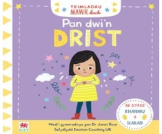 KNYGA Marie Paruit Teimladau Mawr Bach: Pan Dwi'n Drist