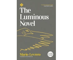 KNYGA Mario Levrero Luminous Novel