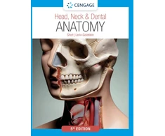 KNYGA Marjorie J Short Head, Neck &amp; Dental Anatomy