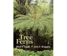 KNYGA Mark F Large Tree Ferns