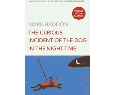 KNYGA Mark Haddon Curious Incident of the Dog in the Night-time