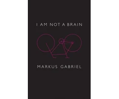 KNYGA Markus Gabriel I am Not a Brain