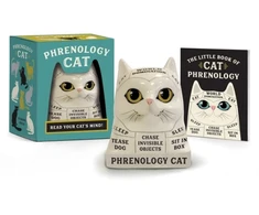 KNYGA Marlo Scrimizzi Phrenology Cat