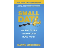 KNYGA Martin Lindstrom Small Data