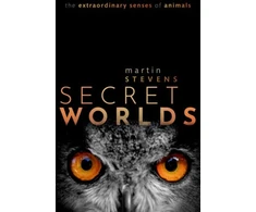 KNYGA Martin Stevens Secret Worlds