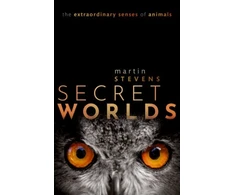 KNYGA Martin Stevens Secret Worlds