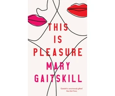 KNYGA Mary Gaitskill This is Pleasure