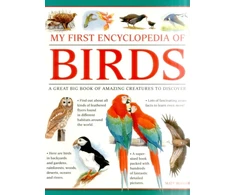 KNYGA Matt Bugler My First Encylopedia of Birds (giant Size)