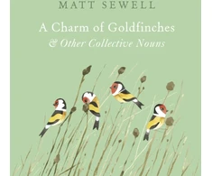 KNYGA Matt Sewell Charm of Goldfinches and Other Collective Nouns