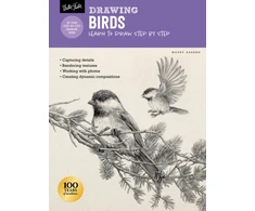KNYGA Maury Aaseng Drawing: Birds