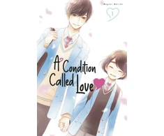KNYGA Megumi Morino Condition Called Love 1