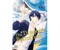 KNYGA Meguru Hinohara Dragon's Betrothed, Vol. 1