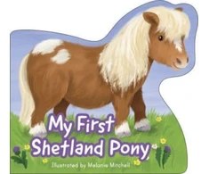 KNYGA Melanie Mitchell My First Shetland Pony