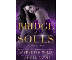 KNYGA Meredith Wild Bridge of Souls