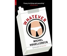 KNYGA Michel Houellebecq Nesvarbu