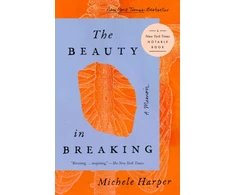 KNYGA Michele Harper Beauty in Breaking