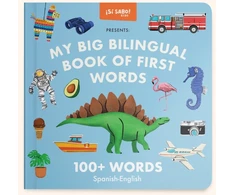 KNYGA Mike Alfaro My Big Bilingual Book of First Words