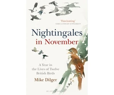 KNYGA Mike Dilger Nightingales in November