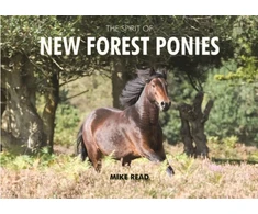 KNYGA Mike Read Spirit of New Forest Ponies