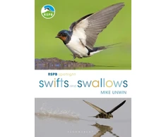 KNYGA Mike Unwin RSPB Spotlight Swifts and Swallows
