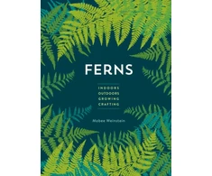 KNYGA Mobee Weinstein Ferns